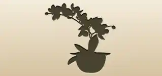 蘭のシルエット
