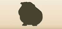 Guinea Pig silhouette