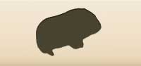 Guinea Pig silhouette