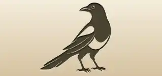 カササギのシルエット