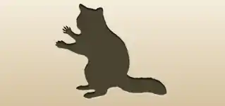 アライグマのシルエット