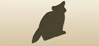 アライグマのシルエット