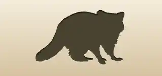 アライグマのシルエット