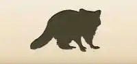 アライグマのシルエット