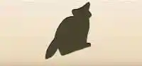 Raccoon silhouette