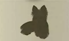 イヌのシルエット