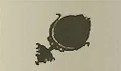 鏡のシルエット