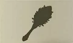 鏡のシルエット