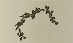 ツタのシルエット