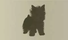 イヌのシルエット
