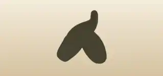 バレエシューズ