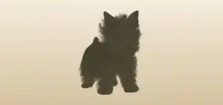 イヌ
