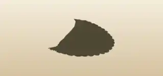 スカーフ