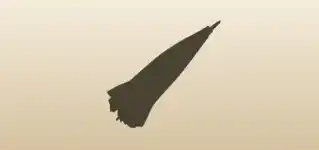 かさ