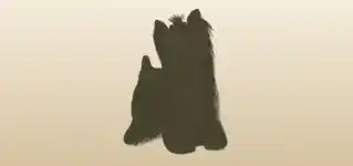 イヌ