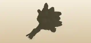 花束