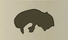 Raccoon silhouette #1