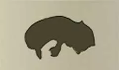 アライグマのシルエット