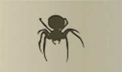 Spider silhouette