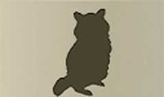 Raccoon silhouette #2