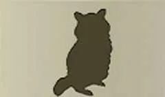 アライグマのシルエット