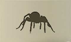 Spider silhouette #4