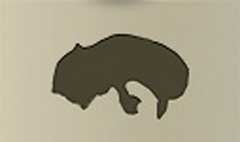 Raccoon silhouette #3