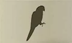 オウムのシルエット