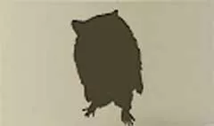 アライグマのシルエット