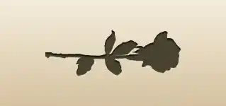 Rose silhouette