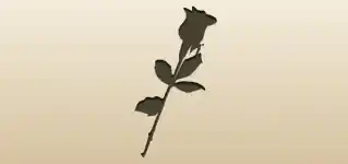 Rose silhouette
