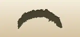 Feather Boa silhouette