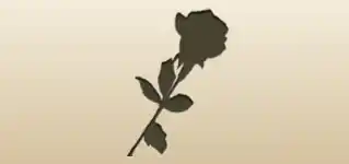 Rose silhouette