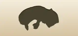Raccoon silhouette