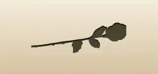 Rose silhouette