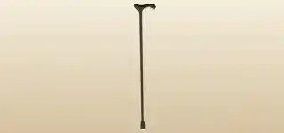 Cane silhouette