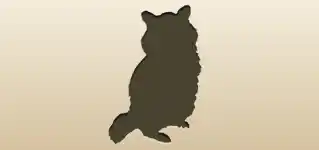 Raccoon silhouette