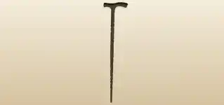 Cane silhouette