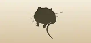 ネズミ