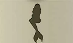 Mermaid silhouette