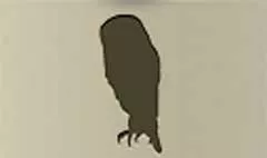 Owl silhouette