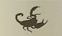 Scorpion silhouette