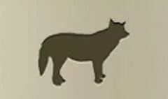 Wolf silhouette