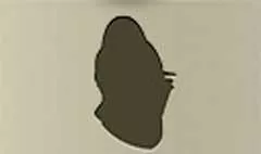 Helmet silhouette