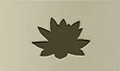 Water Lily silhouette