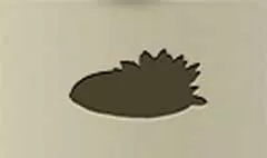 Water Lily silhouette