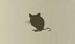 Mouse silhouette
