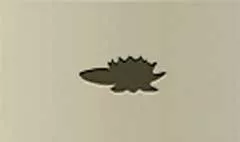 Water Lily silhouette