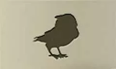 Crow silhouette
