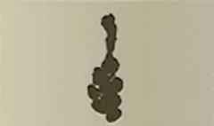 Garlic silhouette